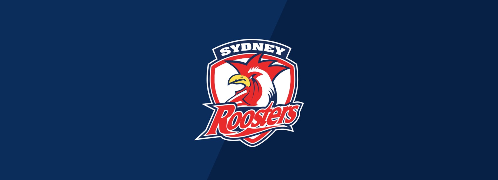 Update: NRL Judiciary Update Round 11